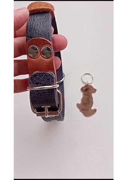 Luxury Köpek Boyun Tasması Hakiki Deri K.lacivert Metal Tokalı Kalınlık:4mm Genişlik:2,5cm Dog Collar T1-15 1 Adet fiyatları
