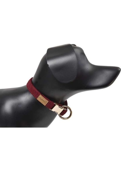 Luxury G-Dog Köpek Boyun Tasması Koyu Kahve L-Xl 40-68 cm 20 mm 1 Adet