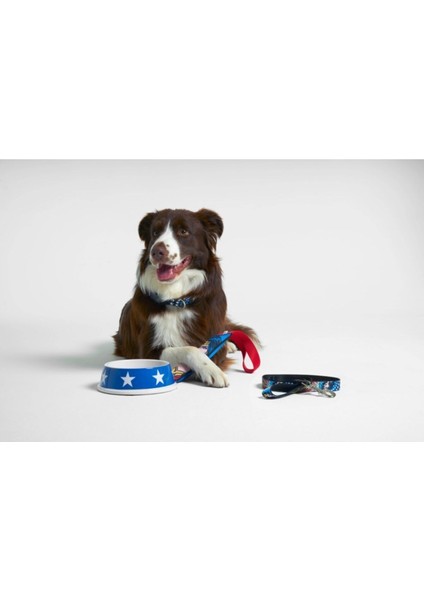 Luxury Small Wonder Woman Köpek Tasması 1 Adet fırsatları