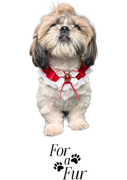 Luxury Kedi ve Köpekler Için Ayarlanabilir Fisto Fiyonk Elmas Detaylı Boyunluk 1 Adet