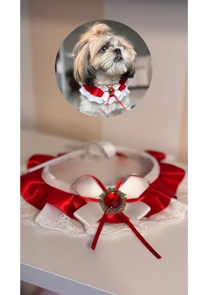Luxury Kedi ve Köpekler Için Ayarlanabilir Fisto Fiyonk Elmas Detaylı Boyunluk 1 Adet