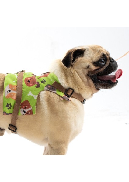 Luxury Ayarlanabilir Küçük Irk Köpek Göğüs Tasma Seti ve Gezdirme Ipi 1 Adet