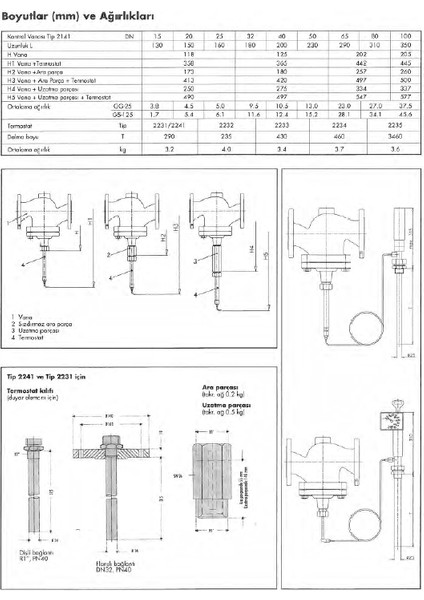 DN50 Termostatik Vana 2141 T-1 Gövde Sfero Döküm PN16 modelleri