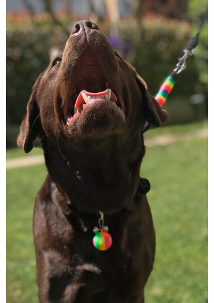 Luxury Ayarlanabilir Boğma Köpek Eğitim Antreman Itaat Boyun Tasması 1 Adet fiyatları