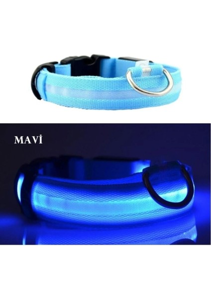 Luxury LED Işıklı Boyun Tasması,köpek ve Kedi 1 Adet