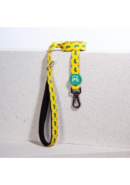 Luxury Cactus Leash Kedi Köpek Sevk & Gezdirme Kayışı Köpek Uzatma Tasması 1 Adet