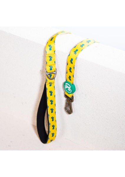 Luxury Cactus Leash Kedi Köpek Sevk & Gezdirme Kayışı Köpek Uzatma Tasması 1 Adet