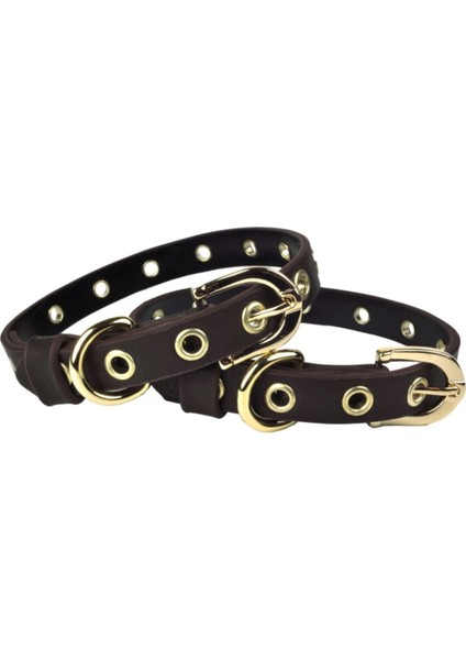 Luxury Capsule Küçük Boy Deri Köpek Tasması 35CM 1 Adet