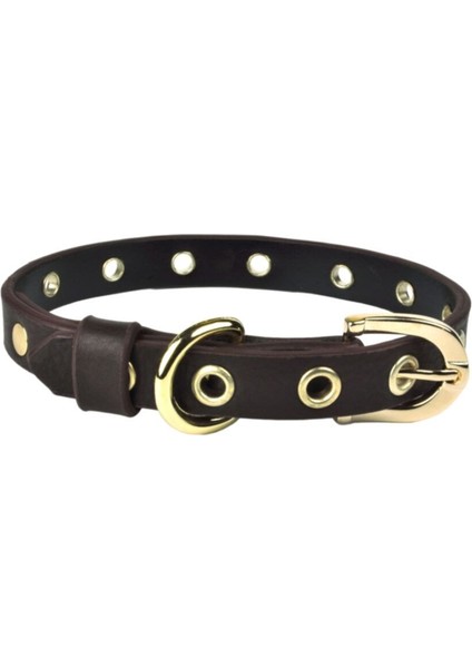 Luxury Capsule Küçük Boy Deri Köpek Tasması 35CM 1 Adet fiyatları