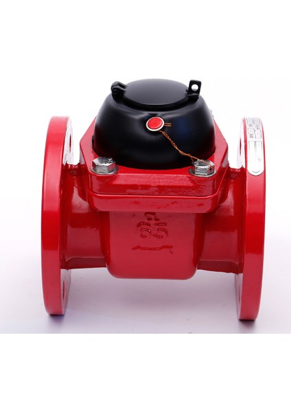 DN50 200MM Woltman Tip Sıcak Su Sayacı