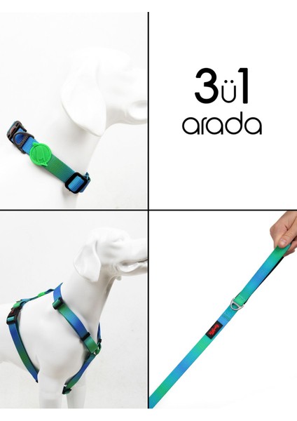 Luxury Amazon H-Tipi Göğüs Boyun Tasması ve Sevk Kayışı Seti 3ü1 Arada 1 Adet