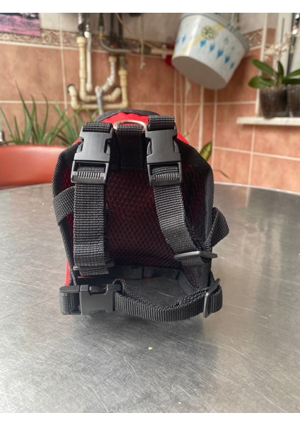 Luxury Kedi ve Köpekler Için Sırt Çantası 1 Adet