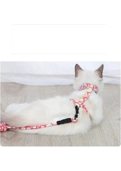Luxury Kedi Gezdirme Göğüs Tasması 1 Adet modelleri