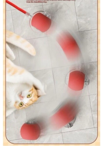 Luxury Şarjlı Kedi Oyuncağı 1 Adet