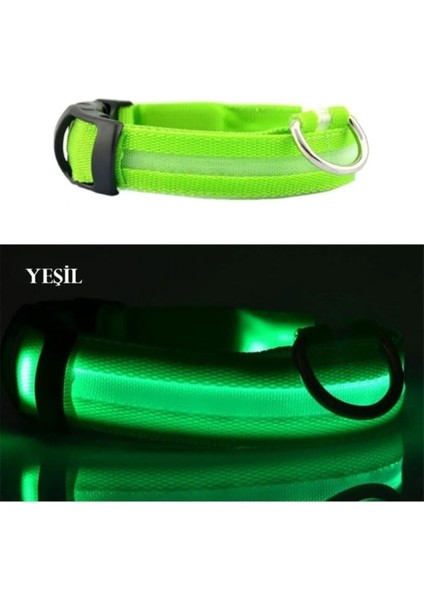Luxury LED Işıklı Boyun Tasması,köpek ve Kedi 1 Adet