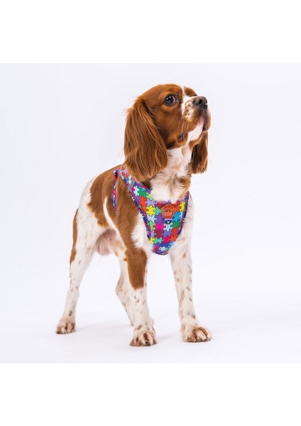 Luxury Puzzle Air-Mesh Göğüs Tasması Kedi Köpek Göğüs Tasması 1 Adet