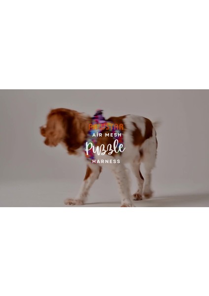 Luxury Puzzle Air-Mesh Göğüs Tasması Kedi Köpek Göğüs Tasması 1 Adet