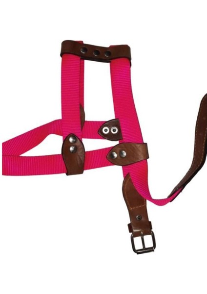 Luxury Ayarlanır Köpek Göğüs Tasması 2,5cm 10-20 kg Aralığındaki Köpeklere Pembe 1 Adet