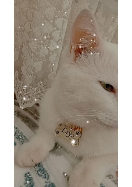 Luxury Altın Sarısı Renginde Knye - Evcil Hayvan Isimliği 20CM 1 Adet