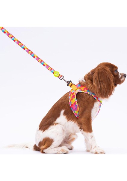 Luxury Monsters Leash Kedi Köpek Sevk & Gezdirme Kayışı Köpek Uzatma Tasması 1 Adet