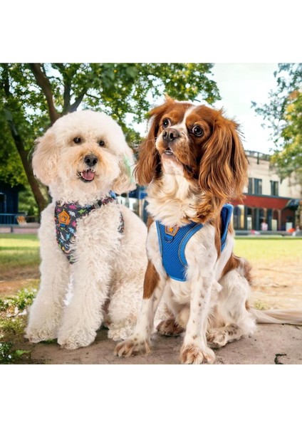 Luxury Oxford 2li Air-Mesh Köpek Göğüs Tasması Kedi Göğüs Tasması Köpek Tasması 1 Adet