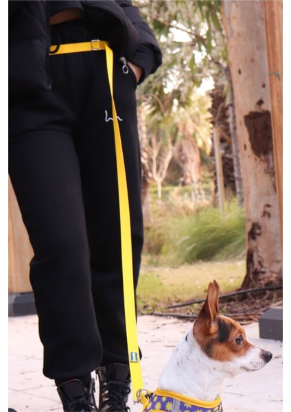 Luxury Ayarlanabilir Köpek Gezdirme Kayışı Eller Serbest Freewalk Kahverengi 110-180 cm 1 Adet