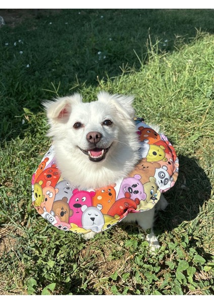 Luxury Kedi Köpek Elizabeth Yakalık Operasyon Boyunluk Yastığı Özel Kumaş Ayıcıklar 1 Adet