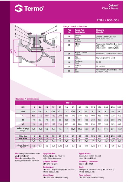 DN250 PN16 Pik Döküm Flanşlı Yaylı Çekvalf