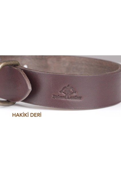 Luxury Kişiye Özel Köpek Isimli Boyun Tasması, Hakiki Vejetal Deri, Paslanmaz Çelik Kaynaklı D Halka 1 Adet fiyatları