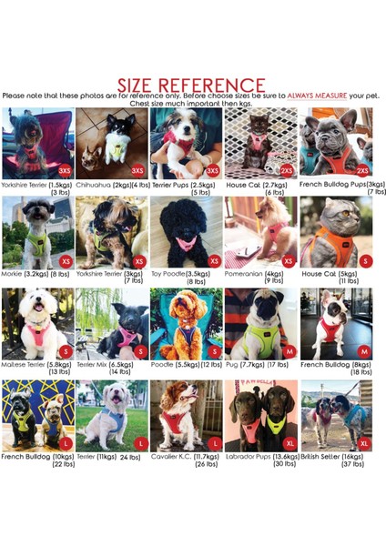 Luxury Air-Mesh Harness Köpek Göğüs Tasması Neon Turuncu 2xs 1 Adet