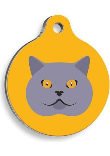 Luxury British Shorthair Yuvarlak Kedi Künyesi 1 Adet