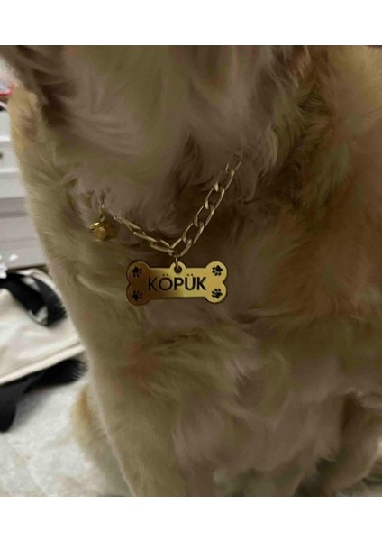 Luxury 95 cm Köpek Kedi Künyesi Isimliği Paslanmaz Zincirli 1 Adet