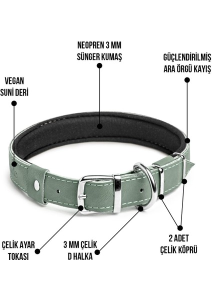 Luxury Köpek Tasması, Köpek Boyun Tasması, Büyük ve Orta Irk Köpek Boyun Tasması - Steff 1 Adet