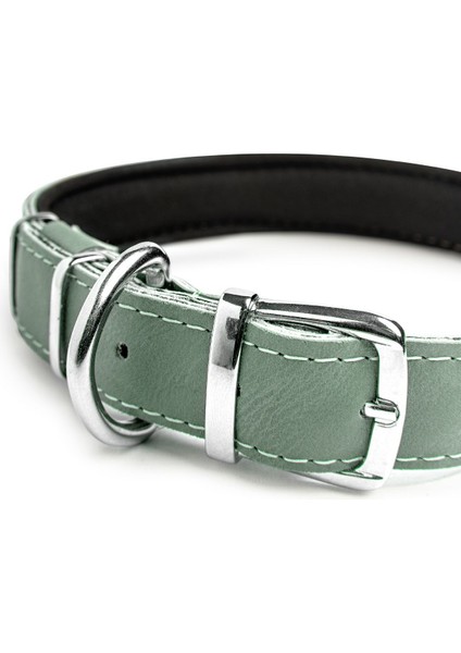 Luxury Köpek Tasması, Köpek Boyun Tasması, Büyük ve Orta Irk Köpek Boyun Tasması - Steff 1 Adet