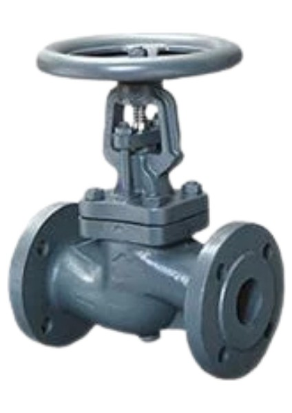 DN300 PN16 Pik Döküm Glob Vana