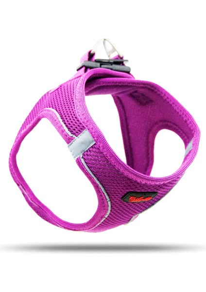 Luxury Harness Köpek Göğüs Tasması Mor Xsmall 1 Adet