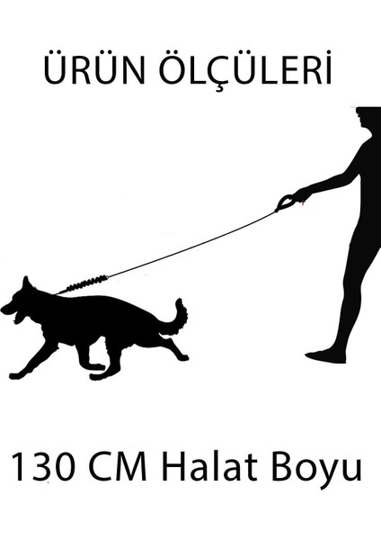 Luxury Köpek Tasması Reflektörlü Küçük Orta Büyük Irk Boyun Tasma Evcil Hayvan Gezdirme Kayışı Ipi Pet Shop 1 Adet