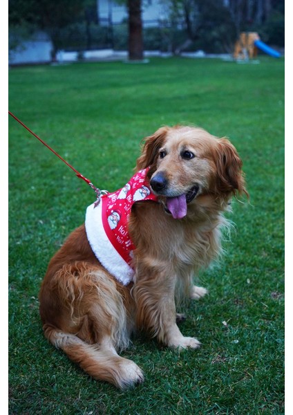 Luxury Kaçış Önleyici Köpek Göğüs Tasma Seti Küçük Irk ve Büyük Irk Köpek Gezdirme Tasması PP-X1001 1 Adet