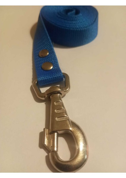 Luxury Köpek Tas 1 Adet