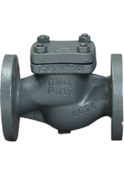 DN25 PN16 Pik Döküm Flanşlı Yaylı Çekvalf
