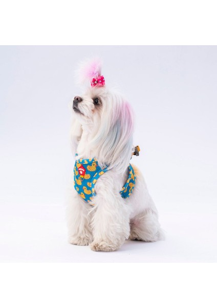 Luxury Küçük-Orta Irk Kedi Köpek Mesh Göğüs Tasması 1 Adet