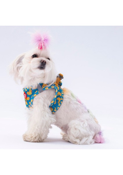 Luxury Küçük-Orta Irk Kedi Köpek Mesh Göğüs Tasması 1 Adet
