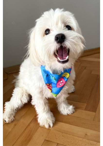 Luxury Sahil Havhavları Temalı Köpek Fuları (S, M, L) Ayarlanabilir Bandana, Köpek Aksesuarı 1 Adet modelleri