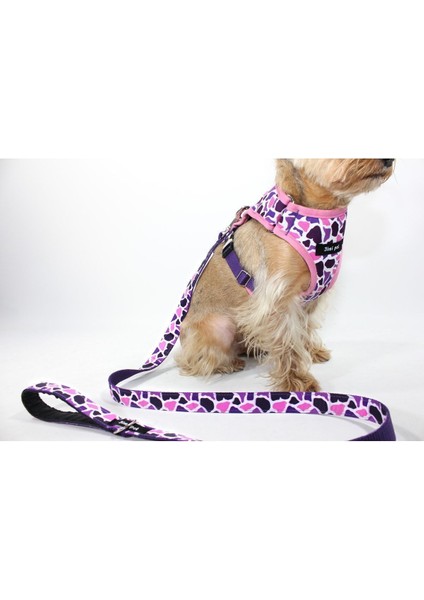 Luxury Air-Mesh Tasma Seti Pinky Cow Model 1 Adet