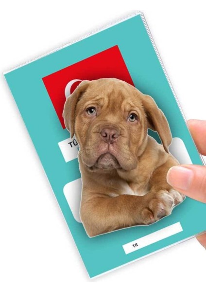 Luxury Yavru Retriever Desenli Şeffaf Evcil Hayvan Pasaport Kabı Kılıfı 1 Adet