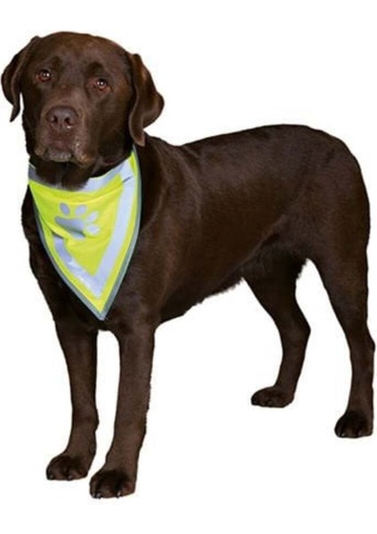 Luxury Köpek Bandanalı Tasma Xlarge 42-60 cm 1 Adet