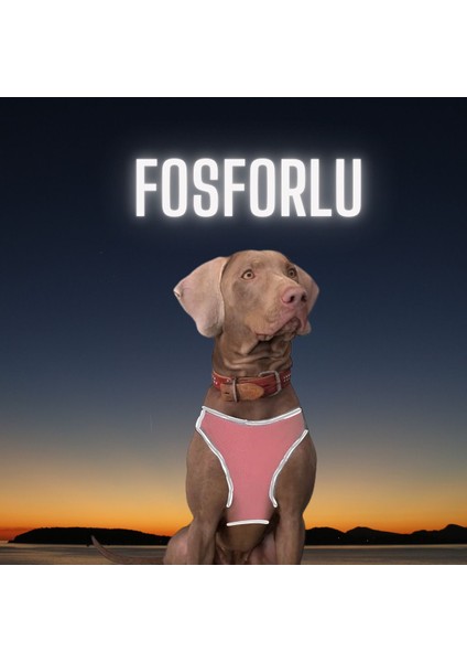 Luxury Air Mesh Kedi Köpek Göğüs Tasması Çift Reflektörlü, Terletmeyen Tasma 1 Adet