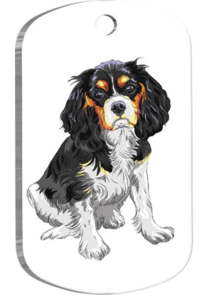 Luxury Cavalier Charles 2 Resimli Köpek Künyesi 1 Adet
