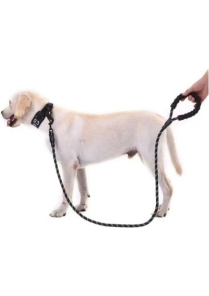 Luxury Reflektörlü Köpek Tasması 130 Cm. 1 Adet