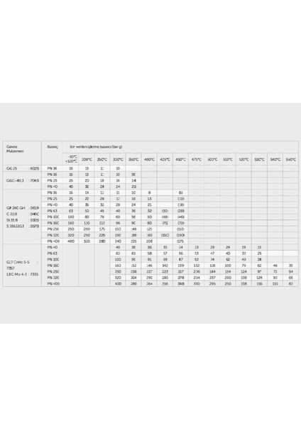 DN65 PN16 Pik Döküm Filtre